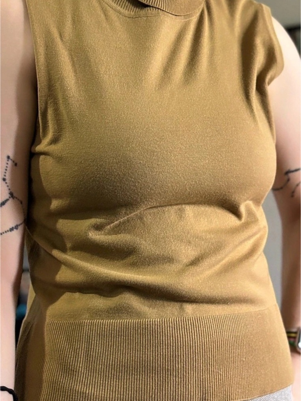 George Sleeveless Turtleneck Top in Brown Like New